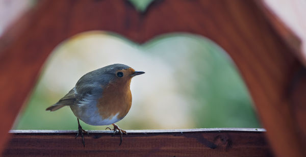 Szíves vendéglátás