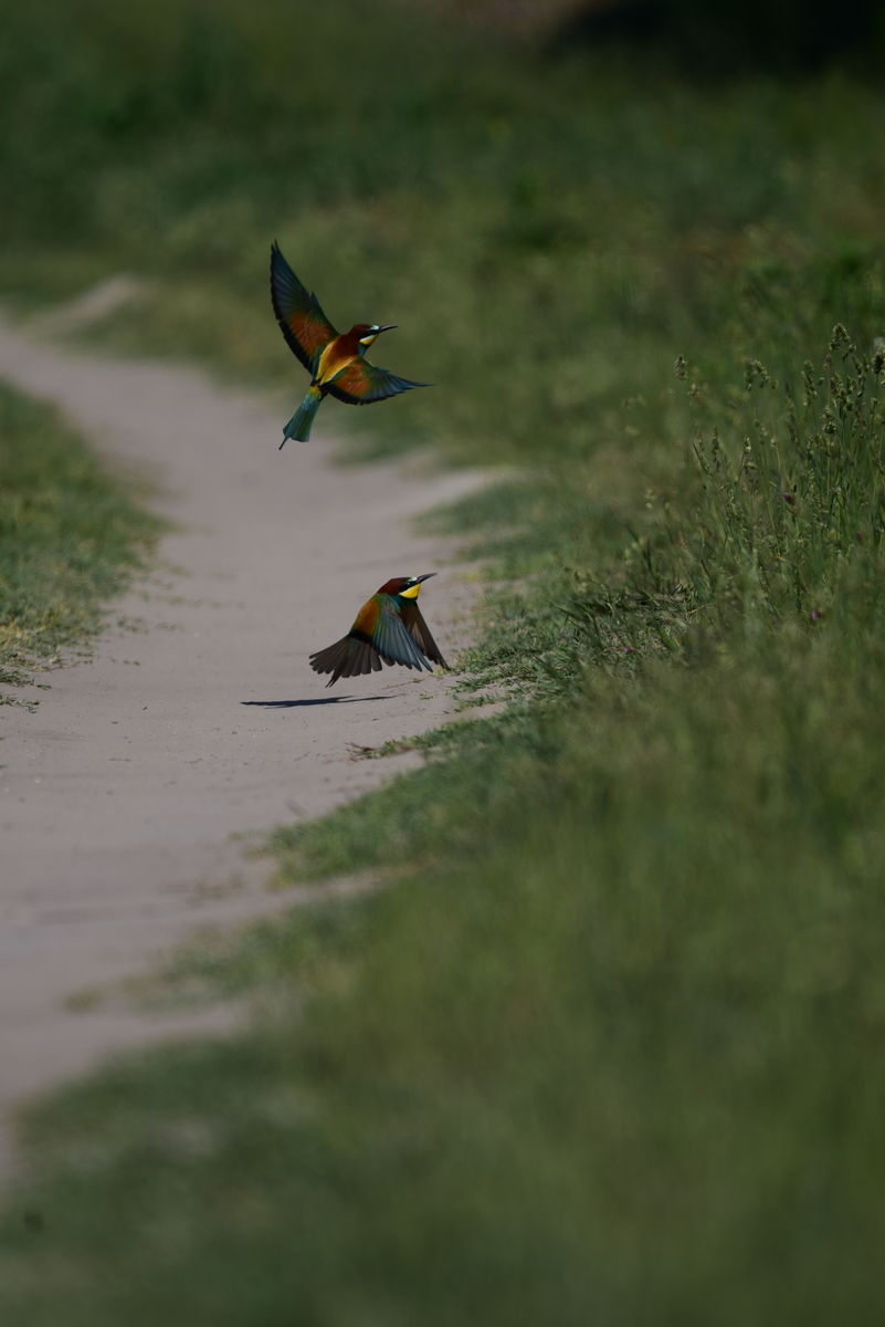 Dr. Rátkainé Kádár Andrea