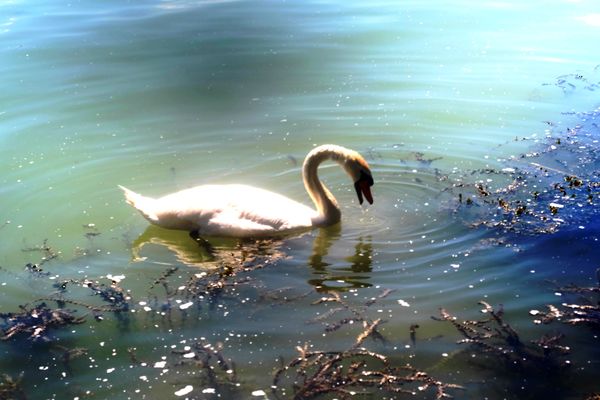 Tükröm tükröm, mond meg nékem,,,,