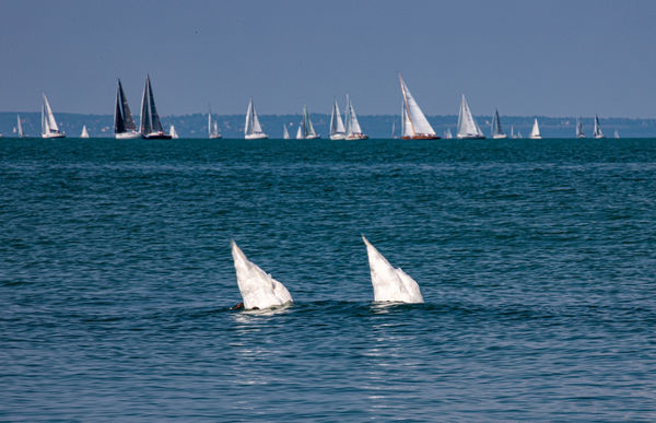 Kékszalag analógia