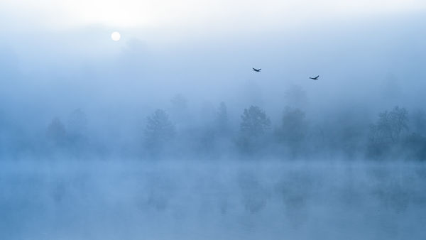 Mese egy őszi reggelről