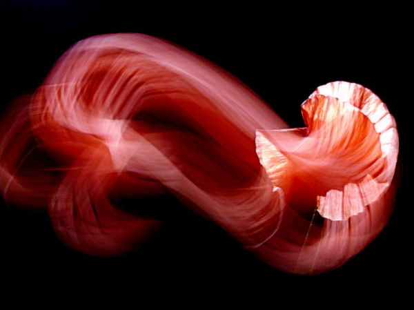 A pipacs tündöklése