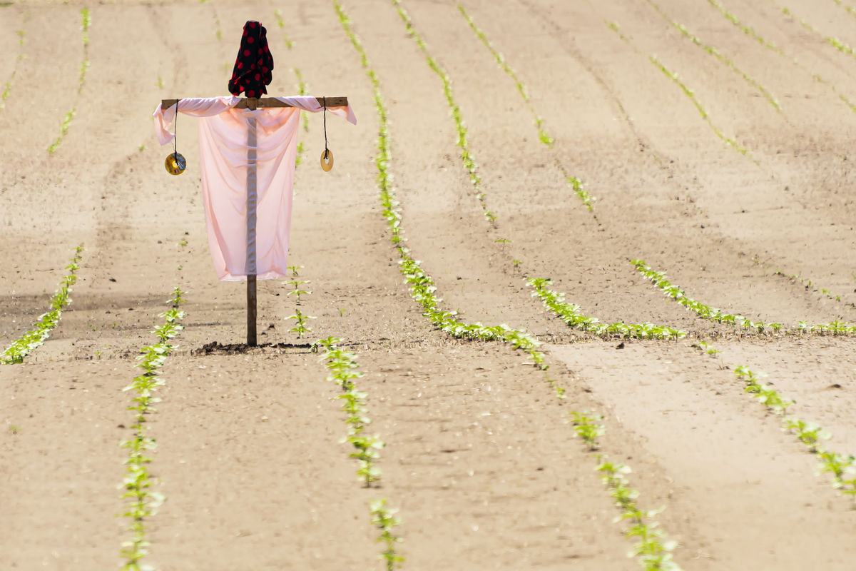 Gaál Zoltán Péter