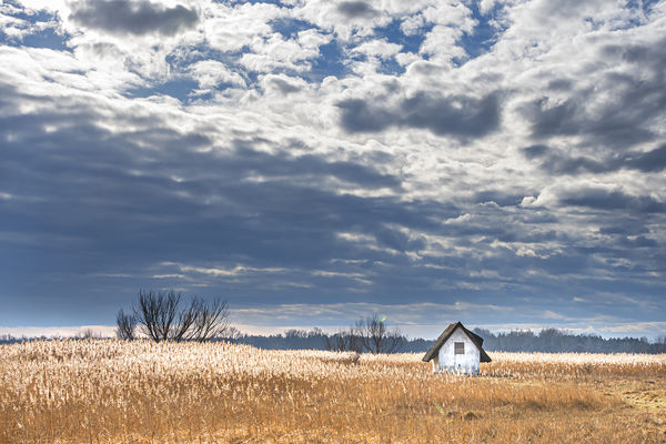 Farmosi madárvárta