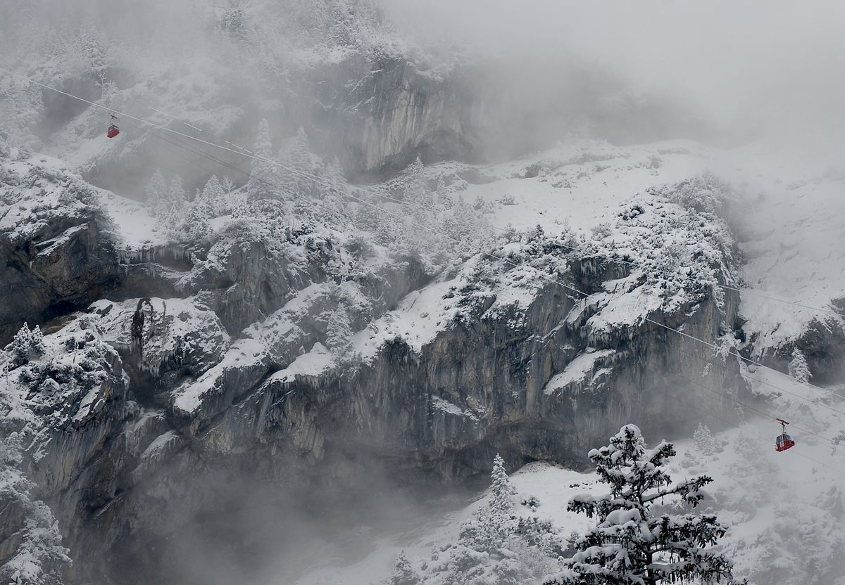 Presztolánszky Ágnes