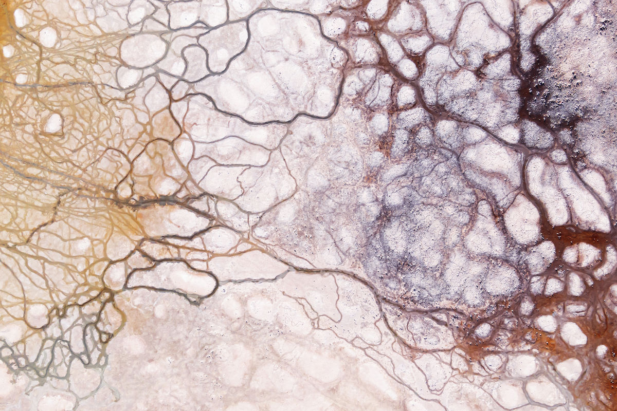 Gaál Zoltán Péter