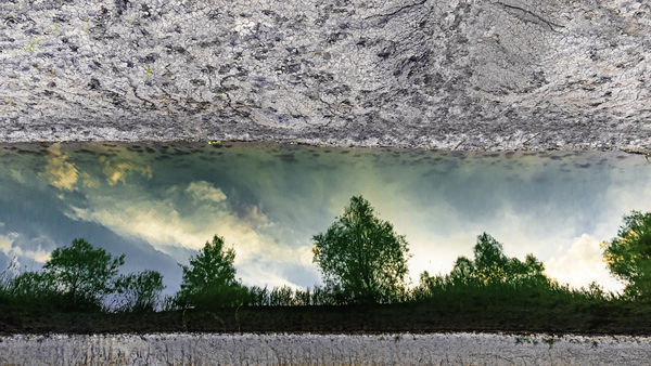 Száraz tónak nedves partján