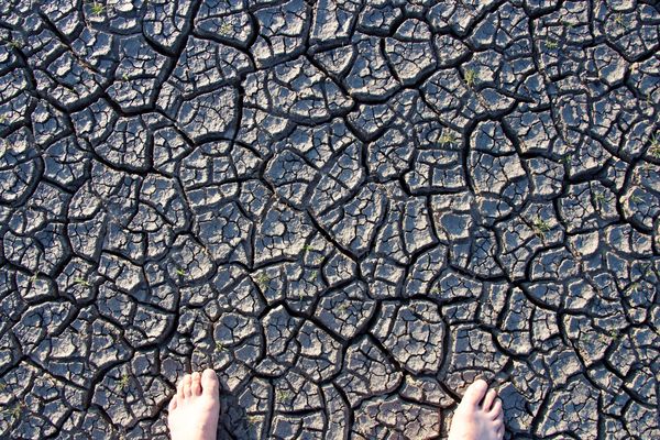 Az ember teremtménye...