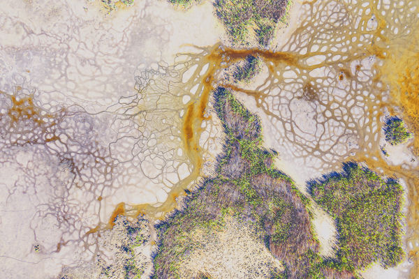 Színjátszó szárazság