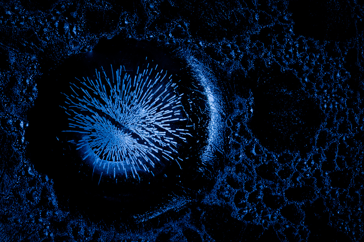 Ribényi Csaba Alfonz