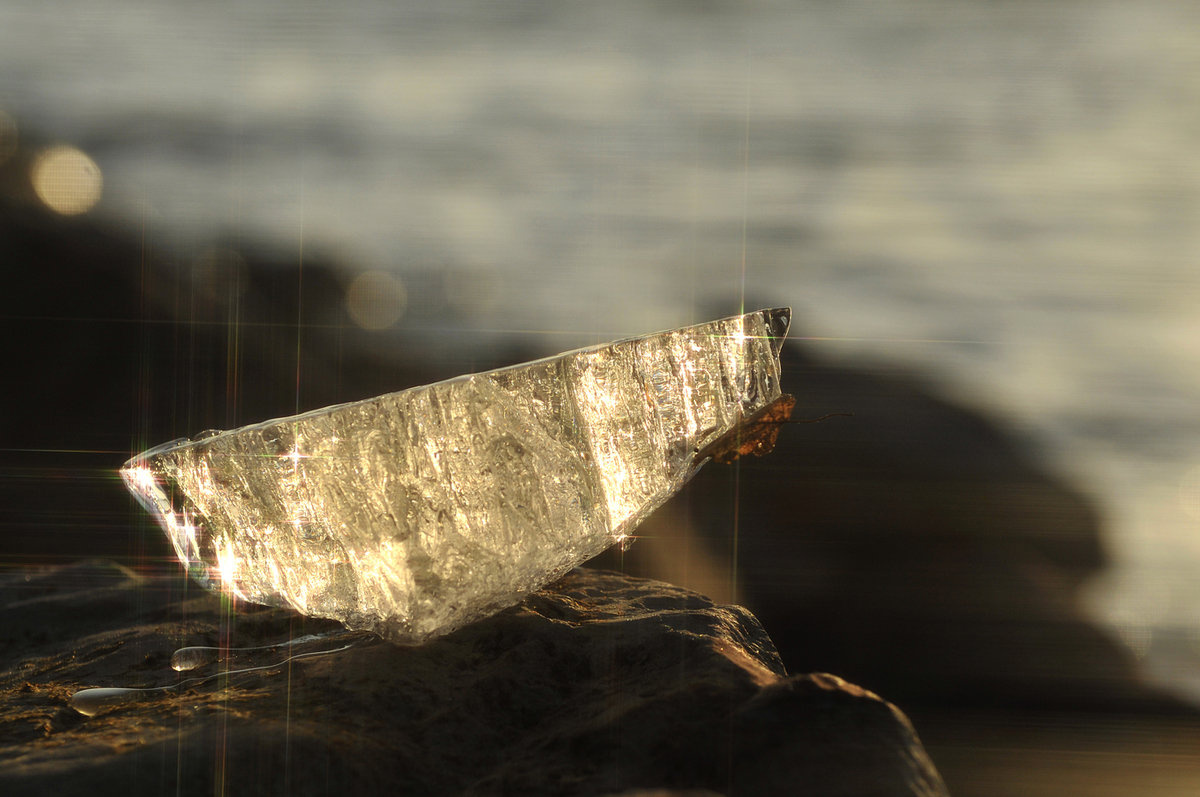 Gaál Zoltán Péter