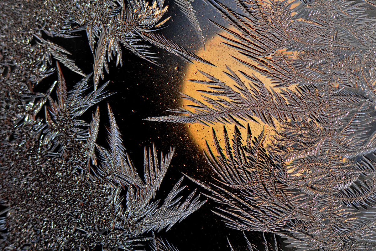 Gaál Zoltán Péter