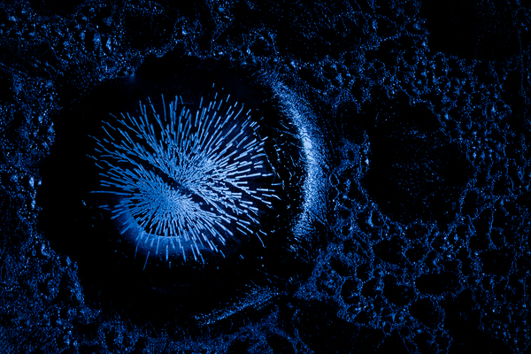 Valahol a galaxisban