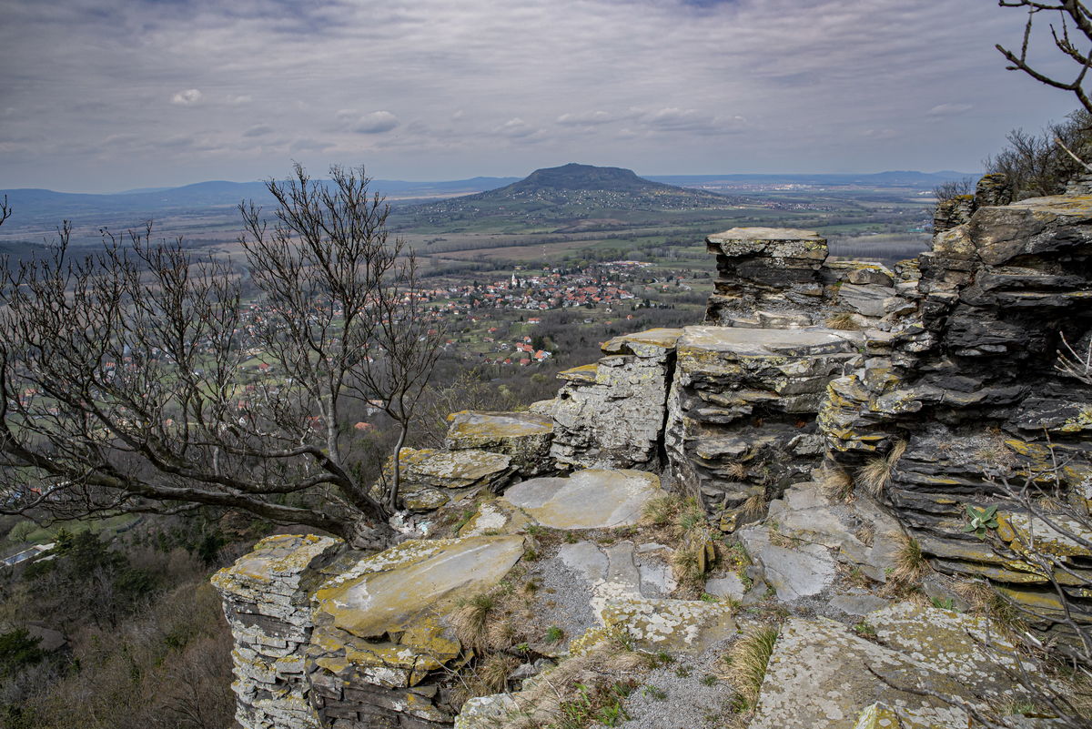 Kontár Csaba Attila