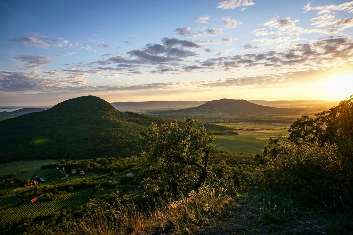 Matiszkó Melinda
