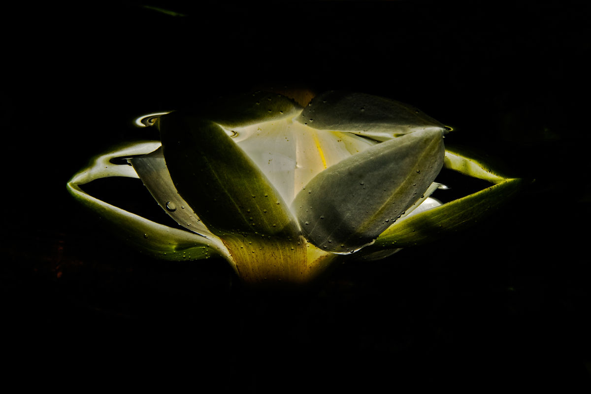 Násfayné Kőházi Mária