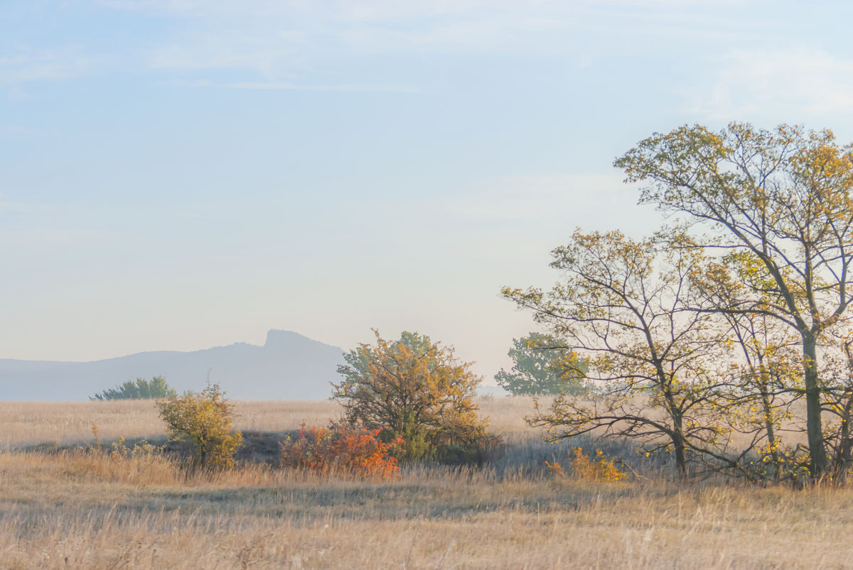 Gaál Zoltán Péter
