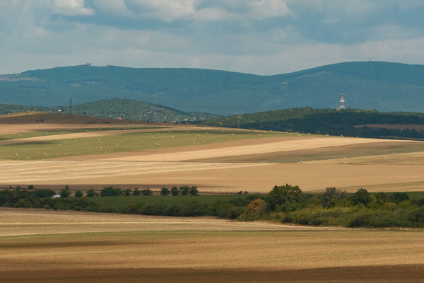 Tótvázsonyi Anzix 2