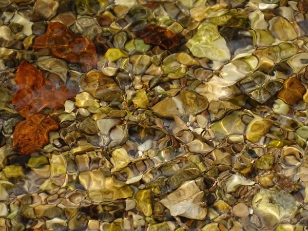 Kristálytiszta patakvíz