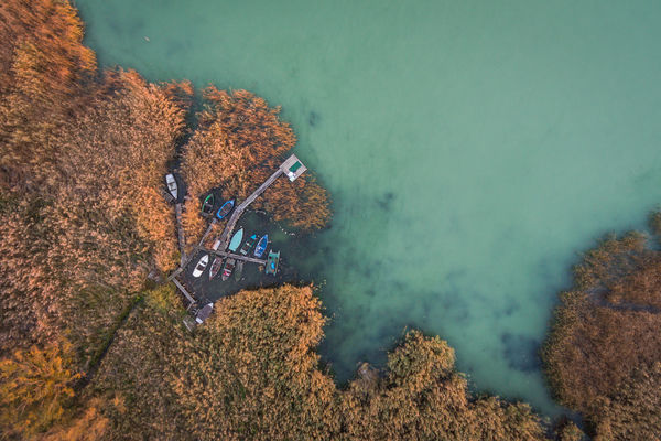 Rejtekhelyek a nádasban
