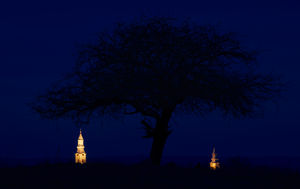 A TEREMTÉS FÁJA A TEREMTÉS FÁJA