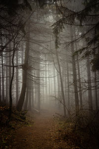 Köd a Mátrában Köd a Mátrában