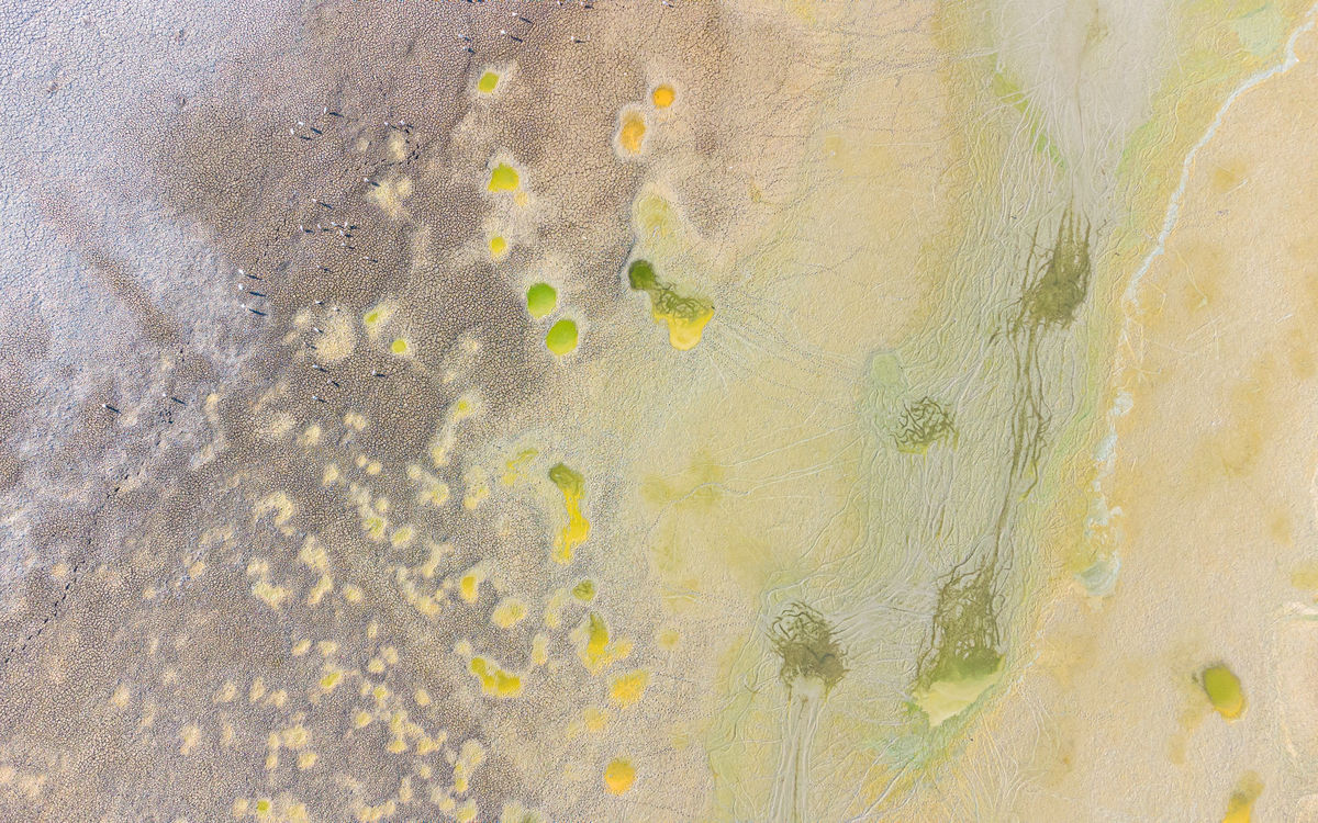 Benke Péter Valentin