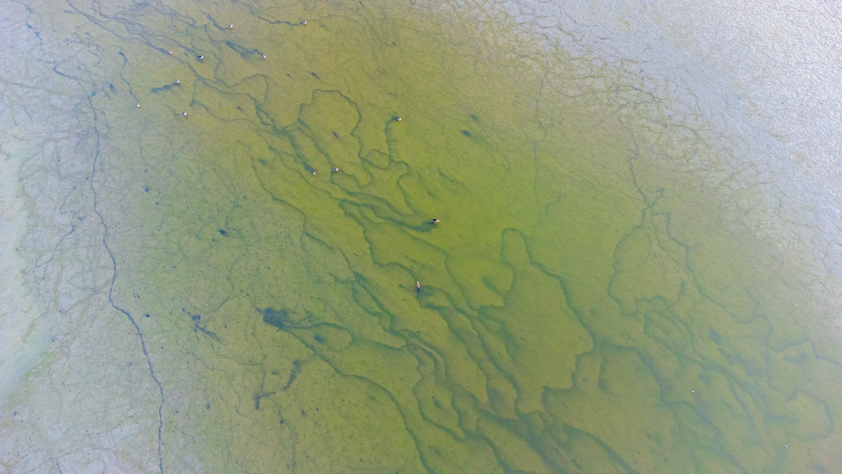 Benke Péter Valentin