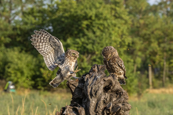 Érkezés egy baráthoz