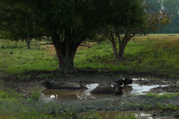 Térfigyelő rendszer