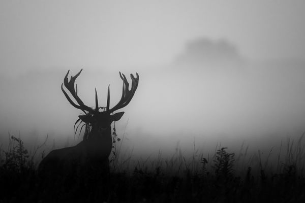 Ahol a méret a lényeg