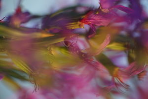 Ugrás egyikről a másikra Ugrás egyikről a másikra