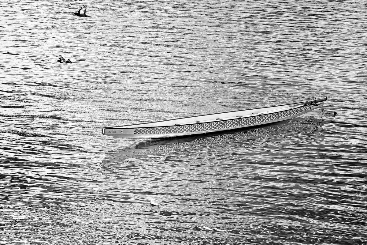 Gaál Zoltán Péter