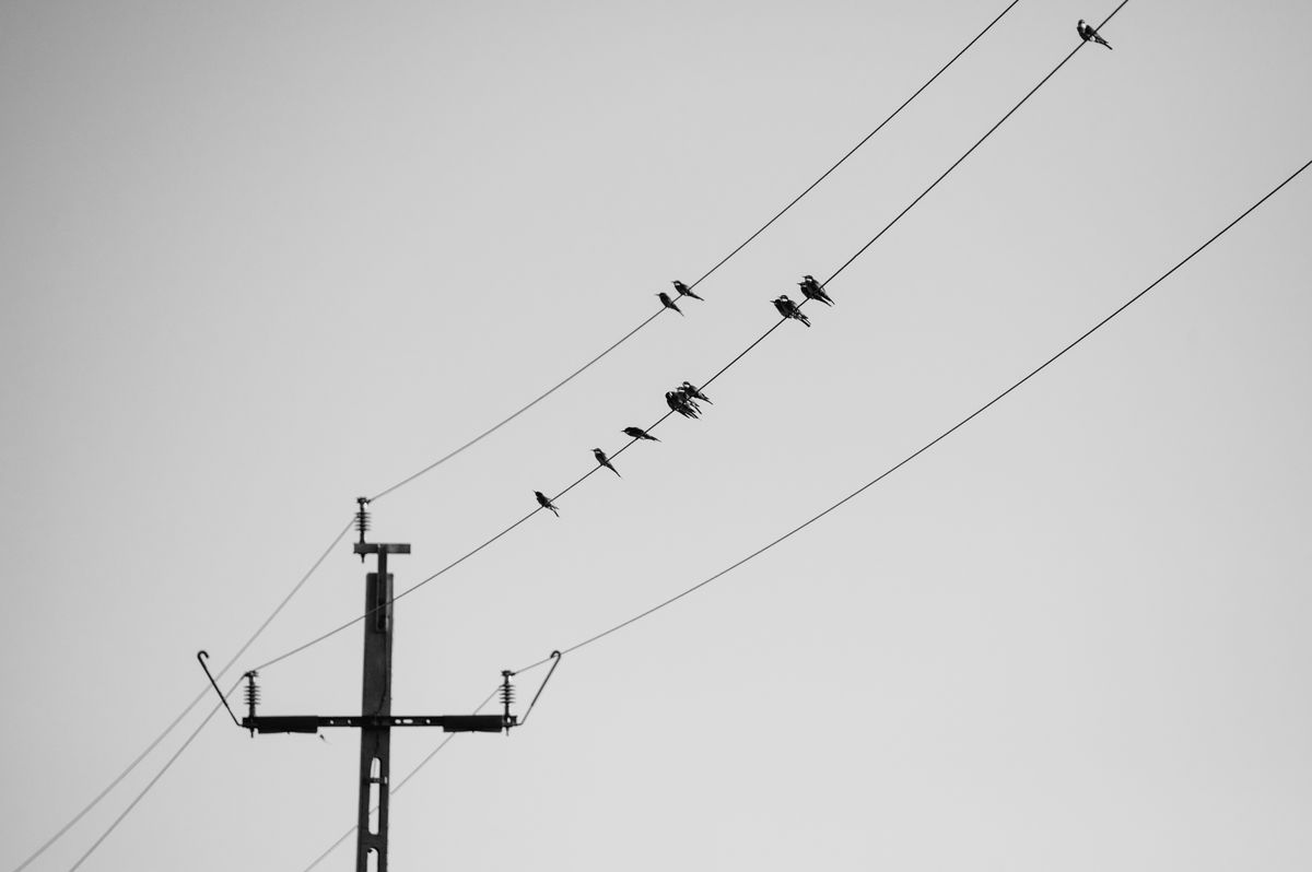 Gémné Kovács Anita