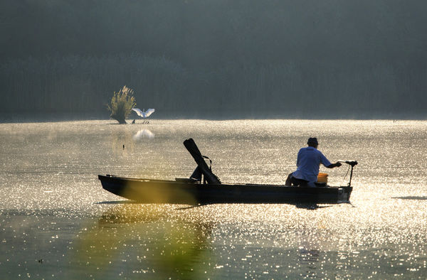 Leszálló kiskócsag