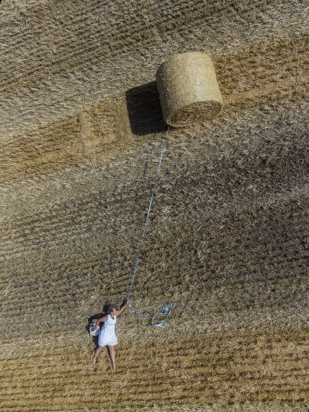 Szárnyalás avagy egy bála új élete