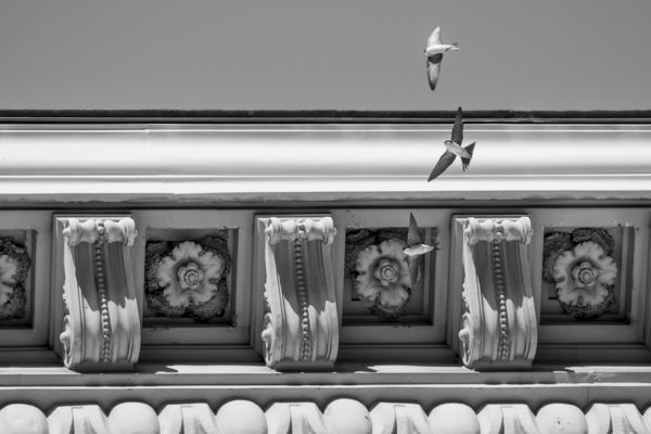 A Keleti pályaudvar fecskéi
