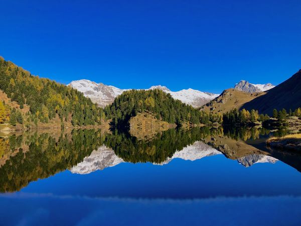 Kristálytiszta tükröződés