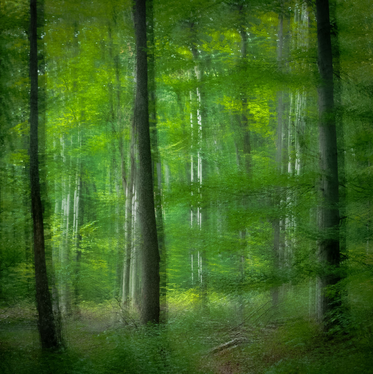 Gárdonyi Annamária