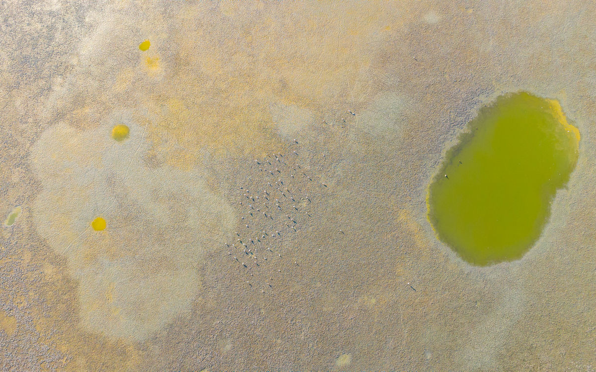 Benke Péter Valentin