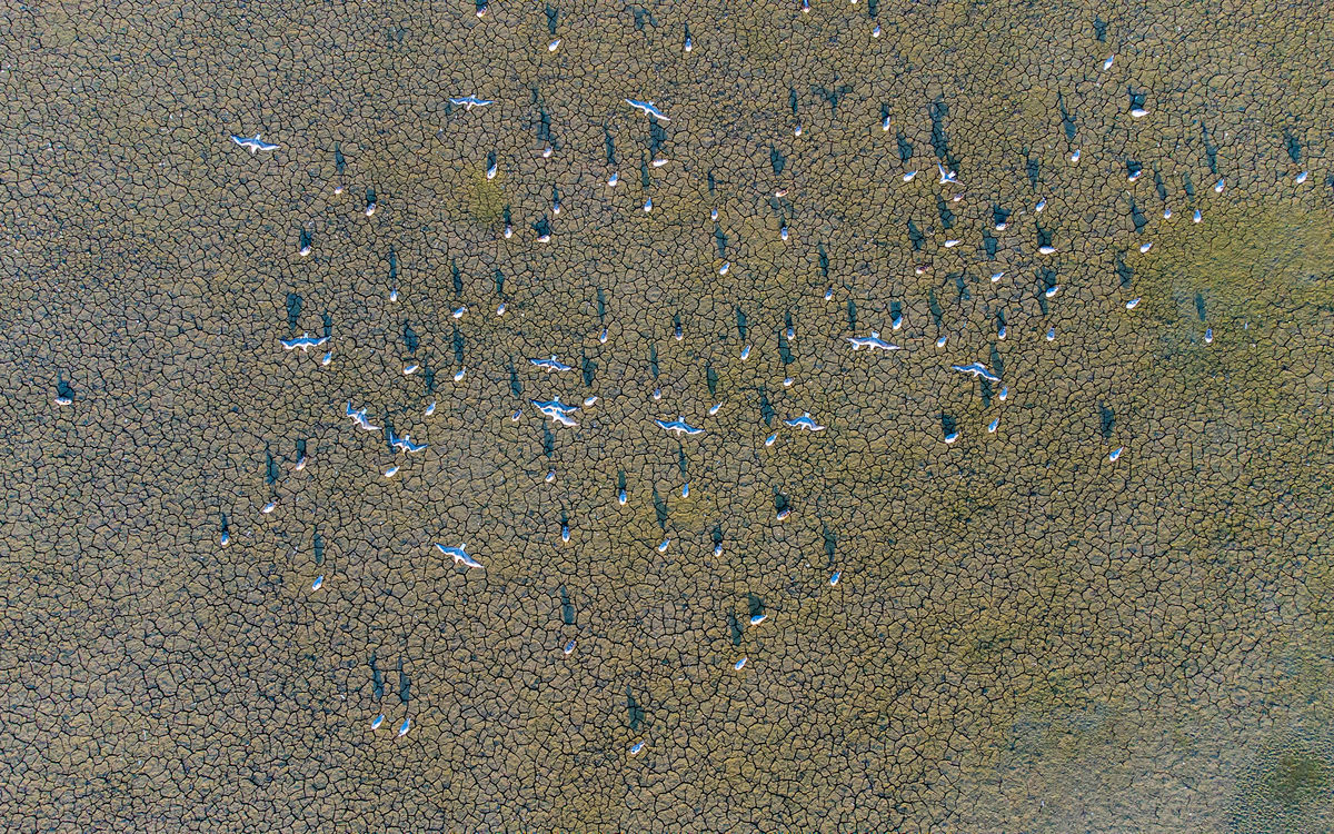 Benke Péter Valentin