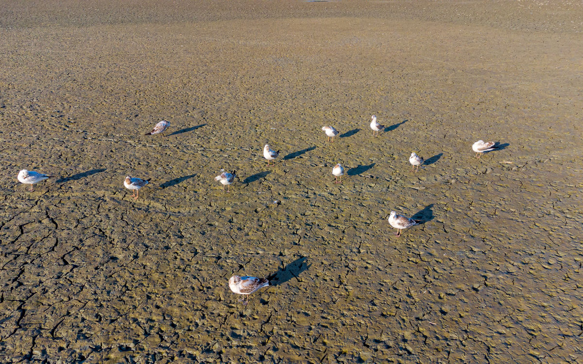 Benke Péter Valentin