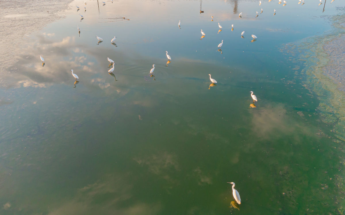 Benke Péter Valentin