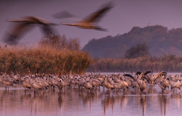 Hajnali készülődés