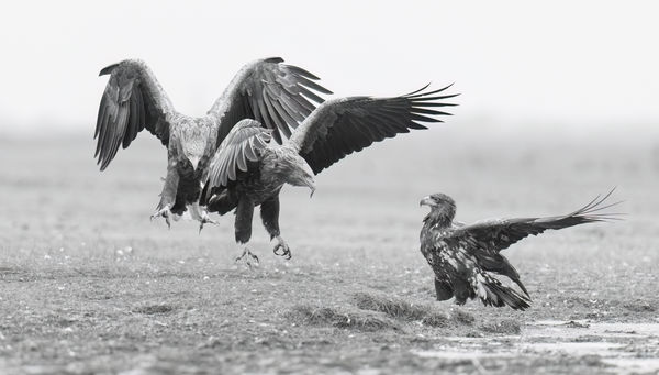 Generációk találkozása