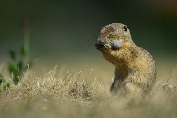 Csukd be szemed, nyisd ki szád