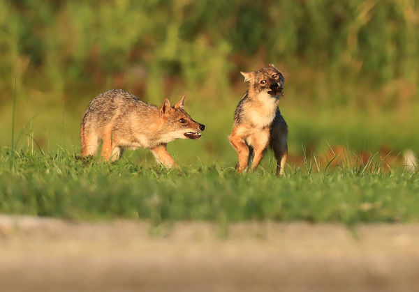 Paradicsomi pillanat