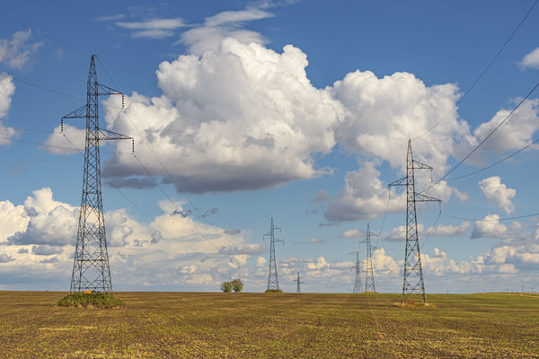 Két fa és a Faraday-kalitka