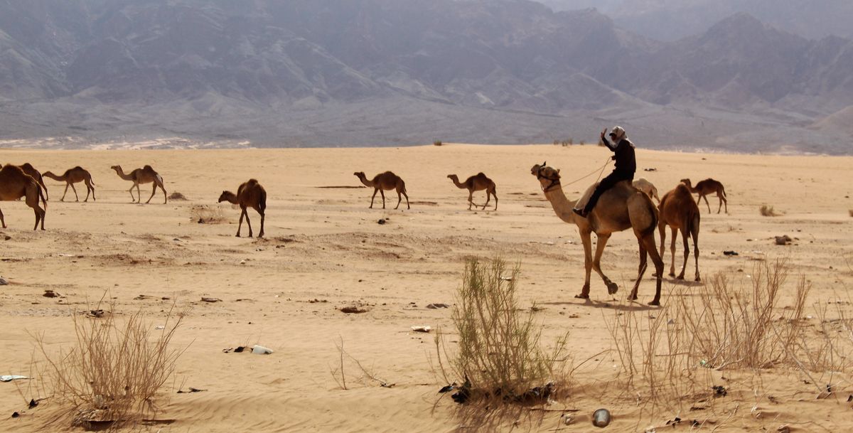 Schubkégel Krisztina