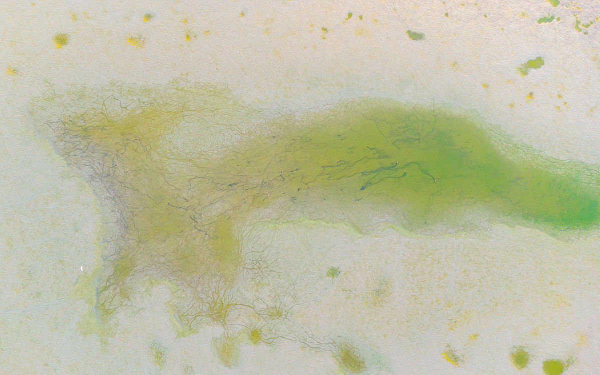 Benke Péter Valentin